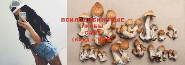 трава Арсеньев