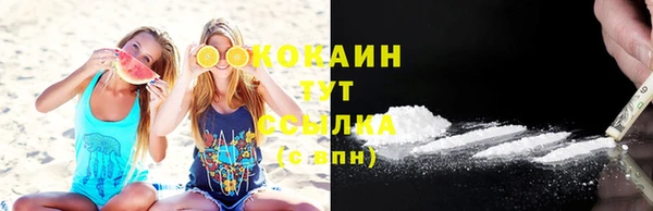 трава Арсеньев