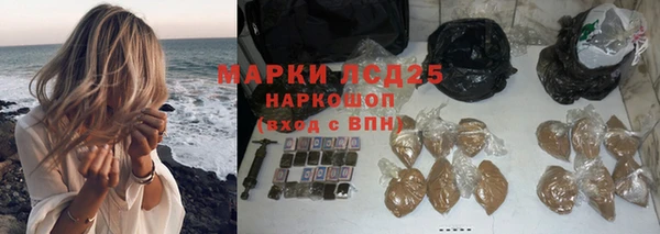 трава Арсеньев