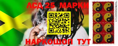 стаф Свободный