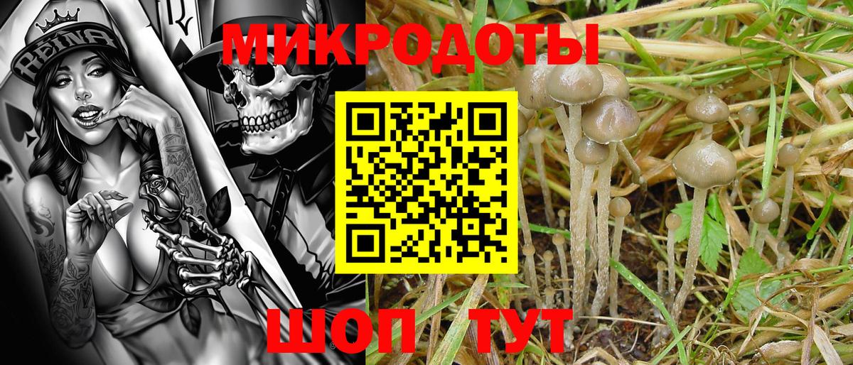 Черняховск  Галлюциногенные грибы GOLDEN TEACHER  Вход с VPN 