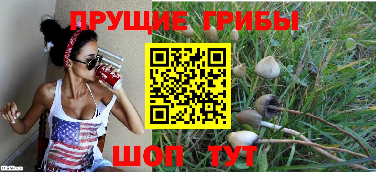 Галлюциногенные грибы Cubensis Черняховск